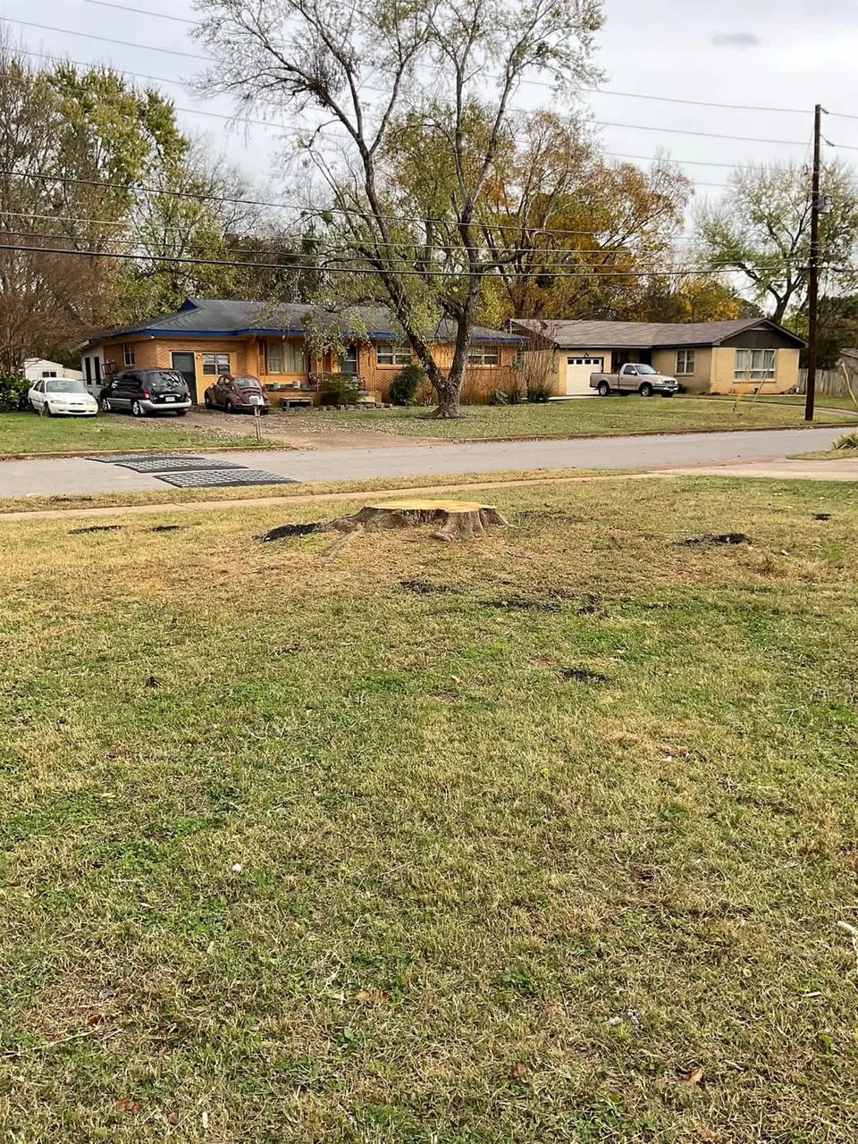 Clean residential yard after tree removal