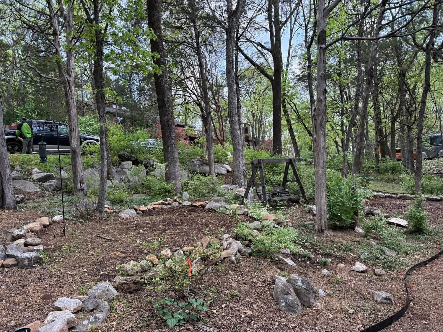 Wooded residential property during selective understory clearing with mature trees retained